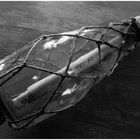 Message in a Bottle