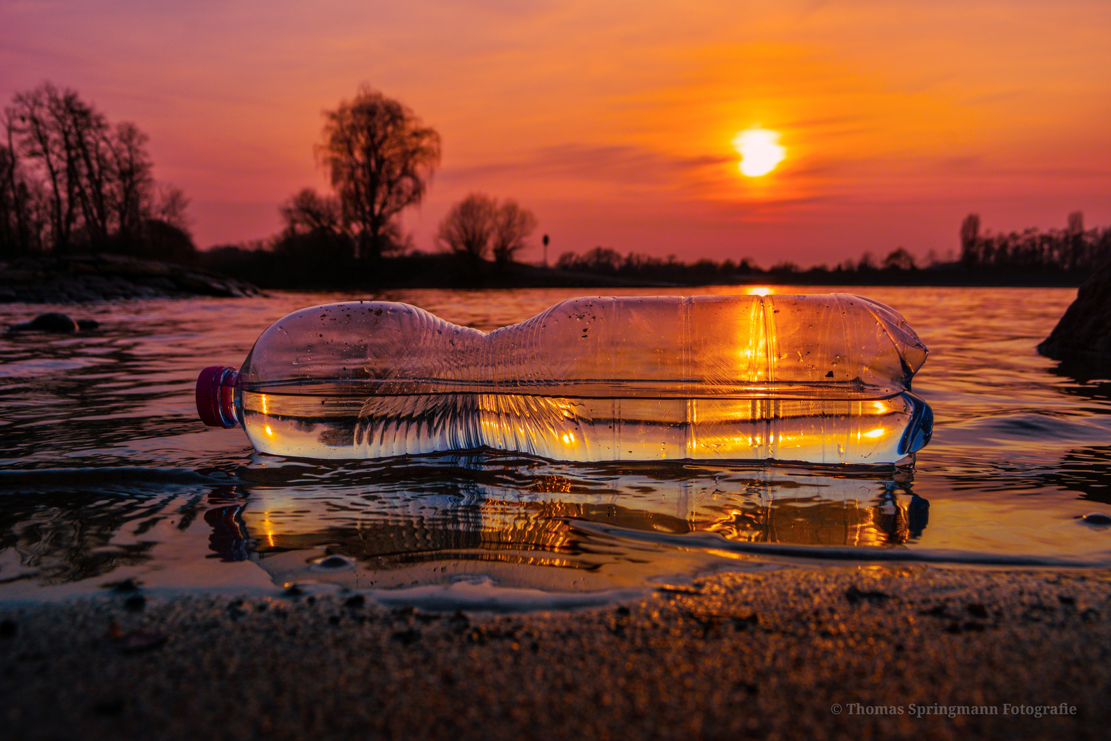 Message in the Bottle 