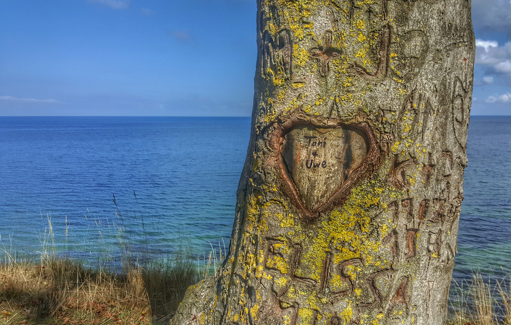 Messages d'arbre