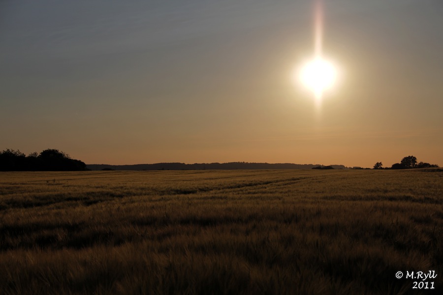 Meßdorfer Feld