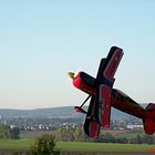 Messerflug eines Beasts