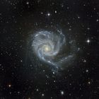 Messier 101 - die Pinwheel Galaxie