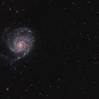 Messier 101 - Feuerrad Galaxy