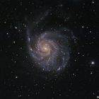 Messier 101 - Pinwheel Galaxy