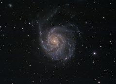 Messier 101 - Pinwheel Galaxy