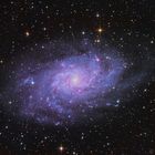 Messier 33, Triangulum Galaxie