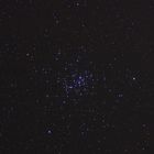 Messier 44, M44 oder Praesepe im Krebs