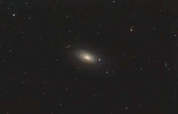 Messier 63 - die Sonnenblume am Nachthimmel