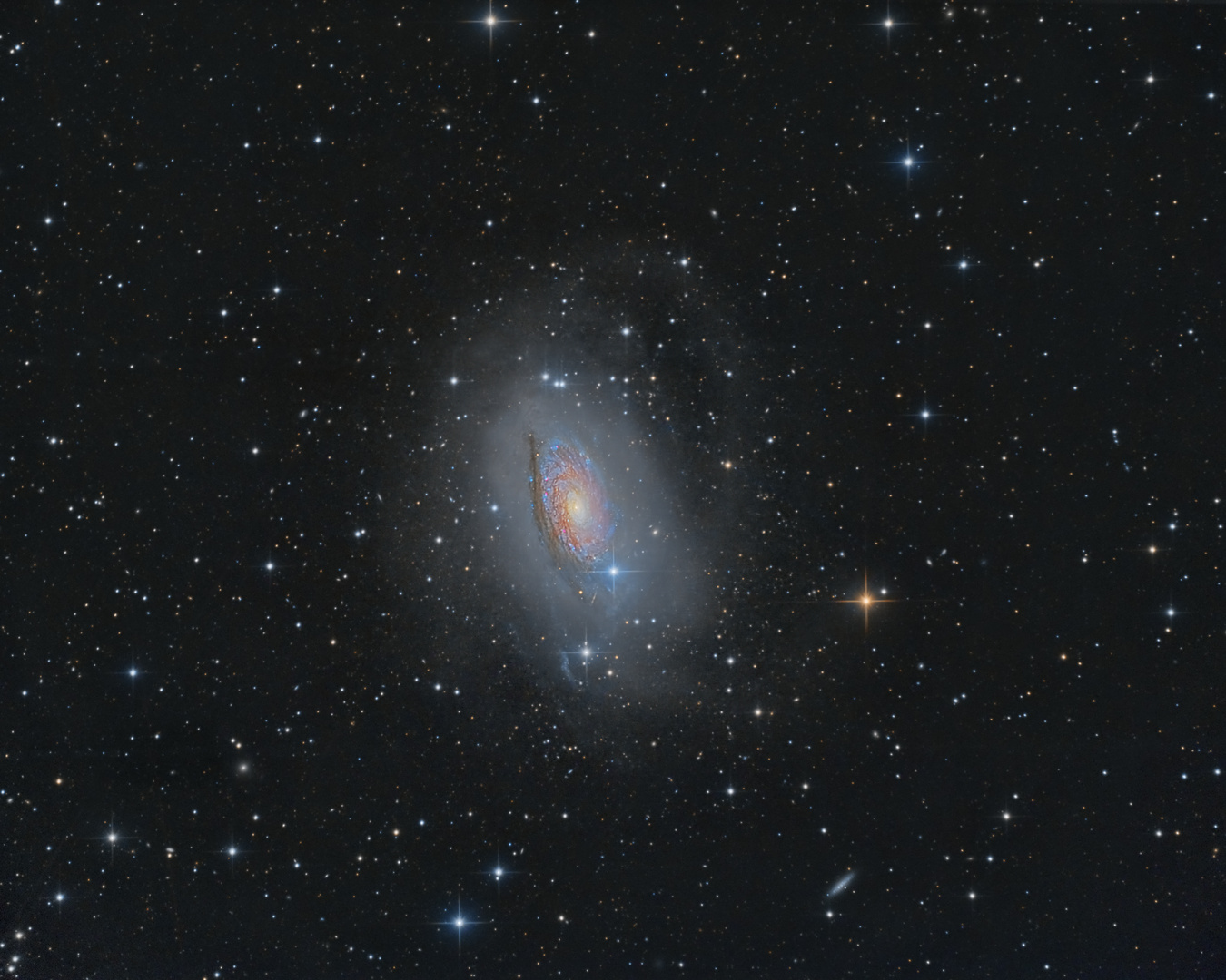 Messier 63 eine kosmische Sonnenblume