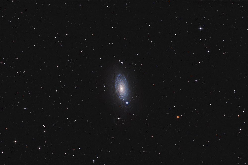 Messier 63 / Sunflower Galaxy