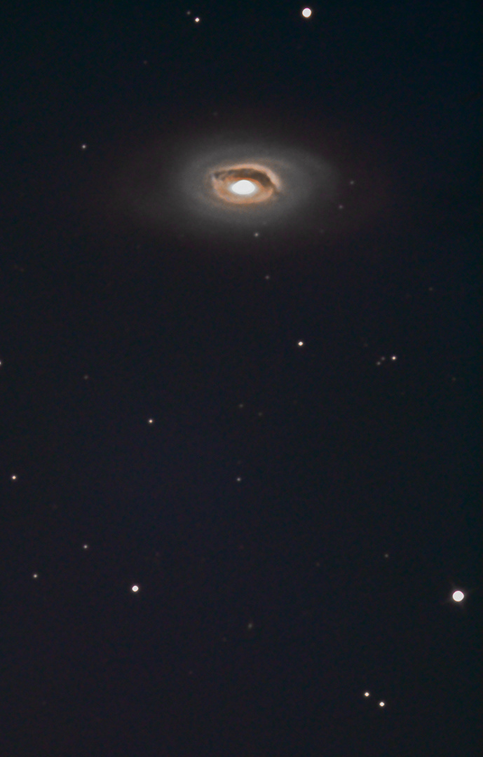 Messier64, die Blackeye Galaxie