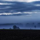 Messkirch Nebel 3