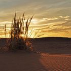 Messungen von IR Strahlung in der Namib (4)