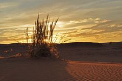 Messungen von IR Strahlung in der Namib (4)