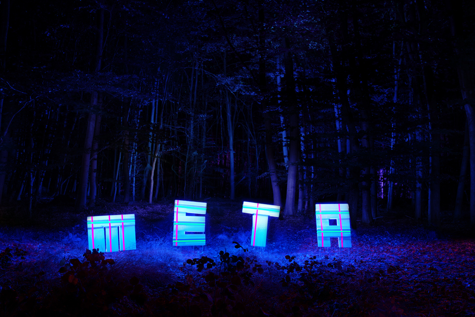 META Baron – Temporäre Installation im Wald