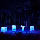 META Baron – Temporäre Installation im Wald