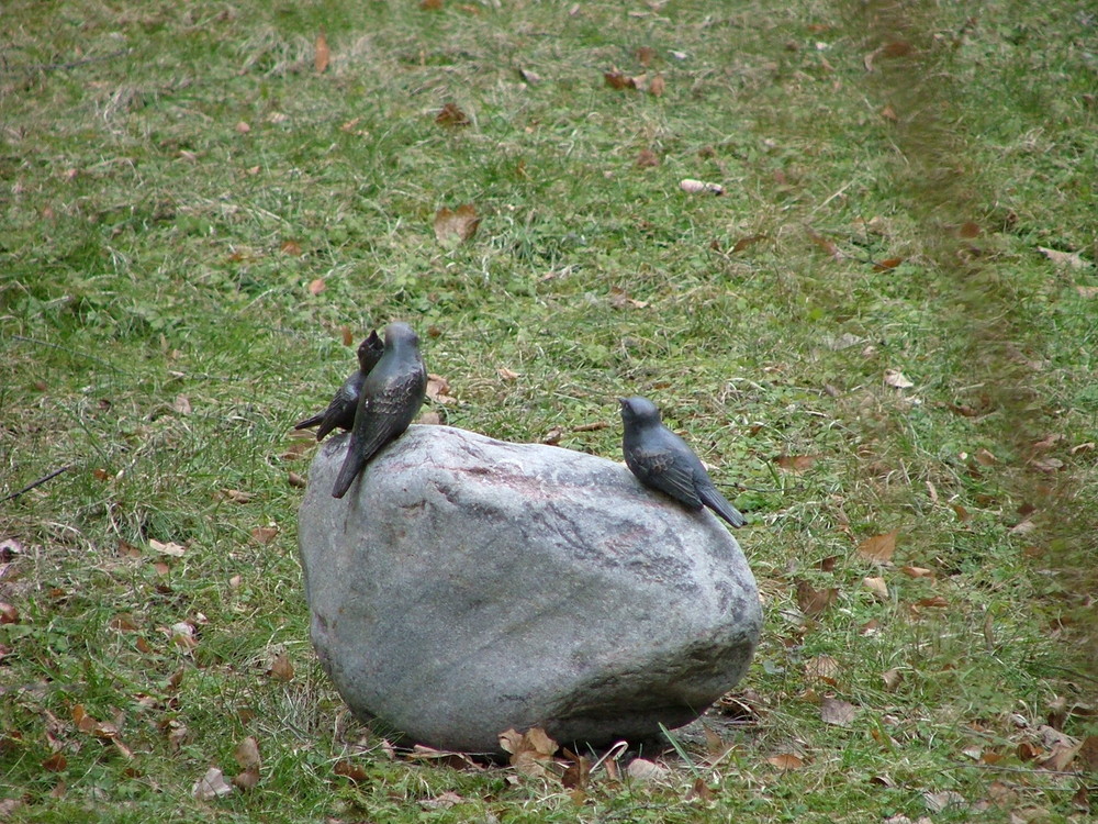 Metal Birds