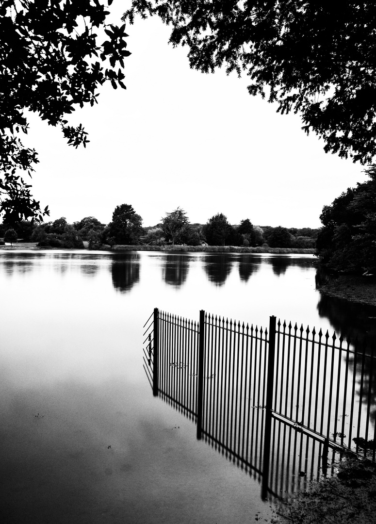 Metal fence in the water 