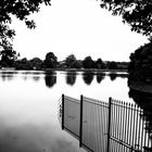 Metal fence in the water 