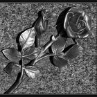 metal rose