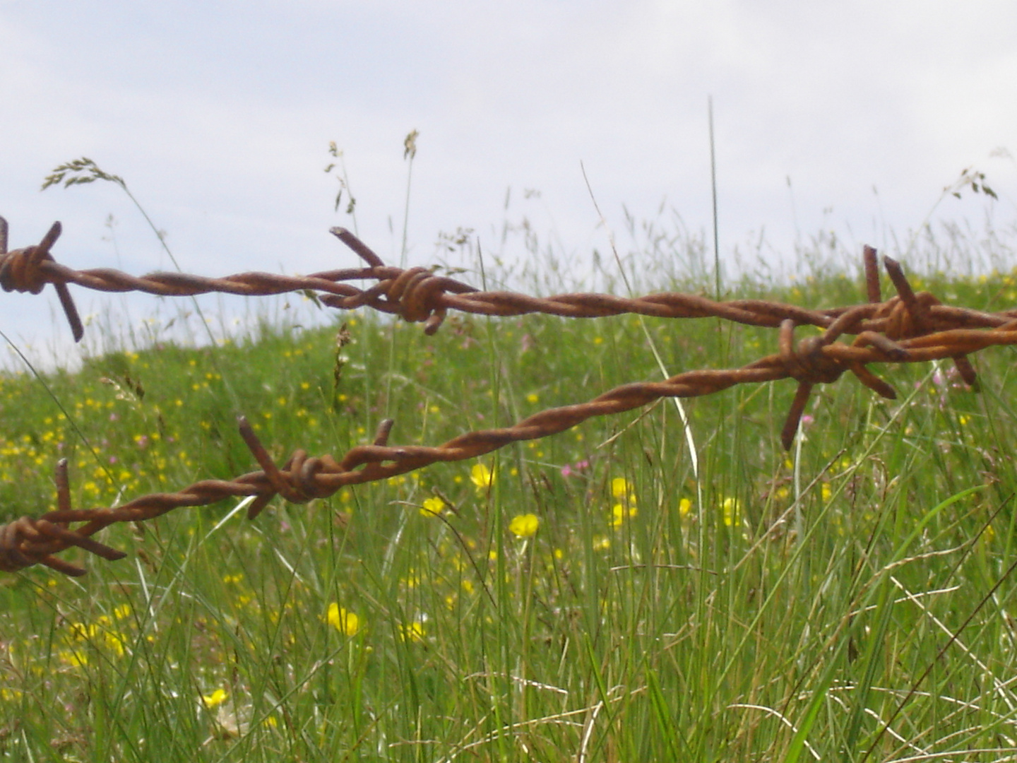 Metall und Natur