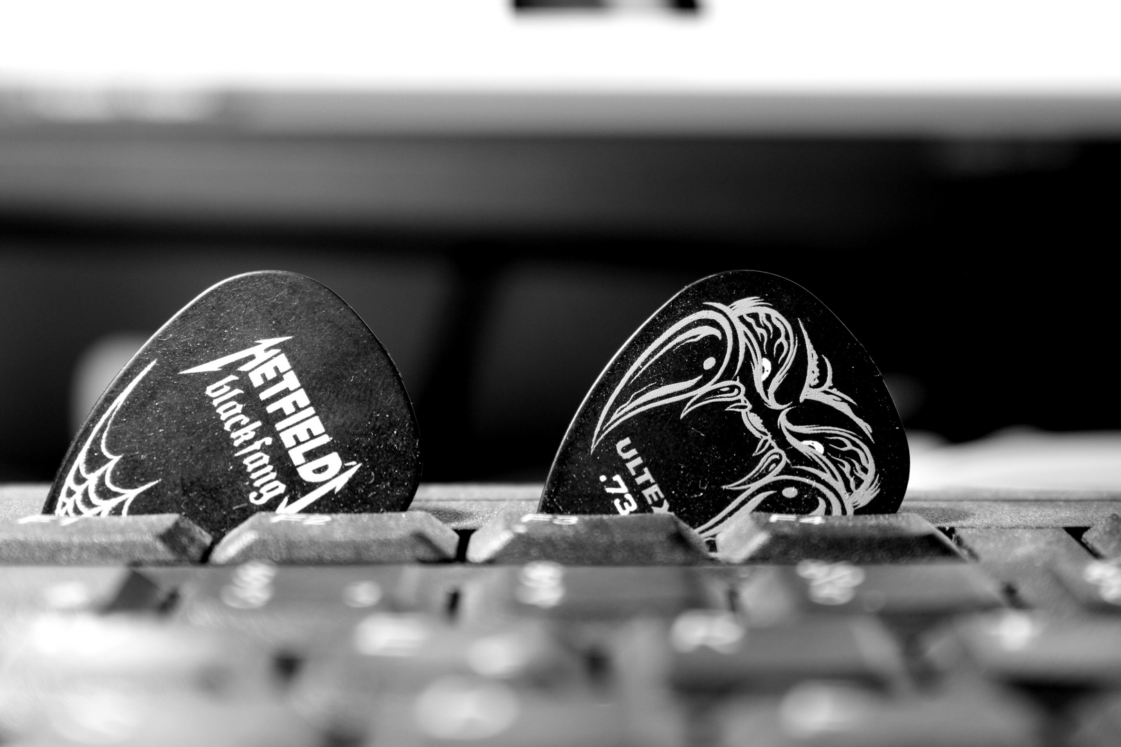 Metallica black´n´white