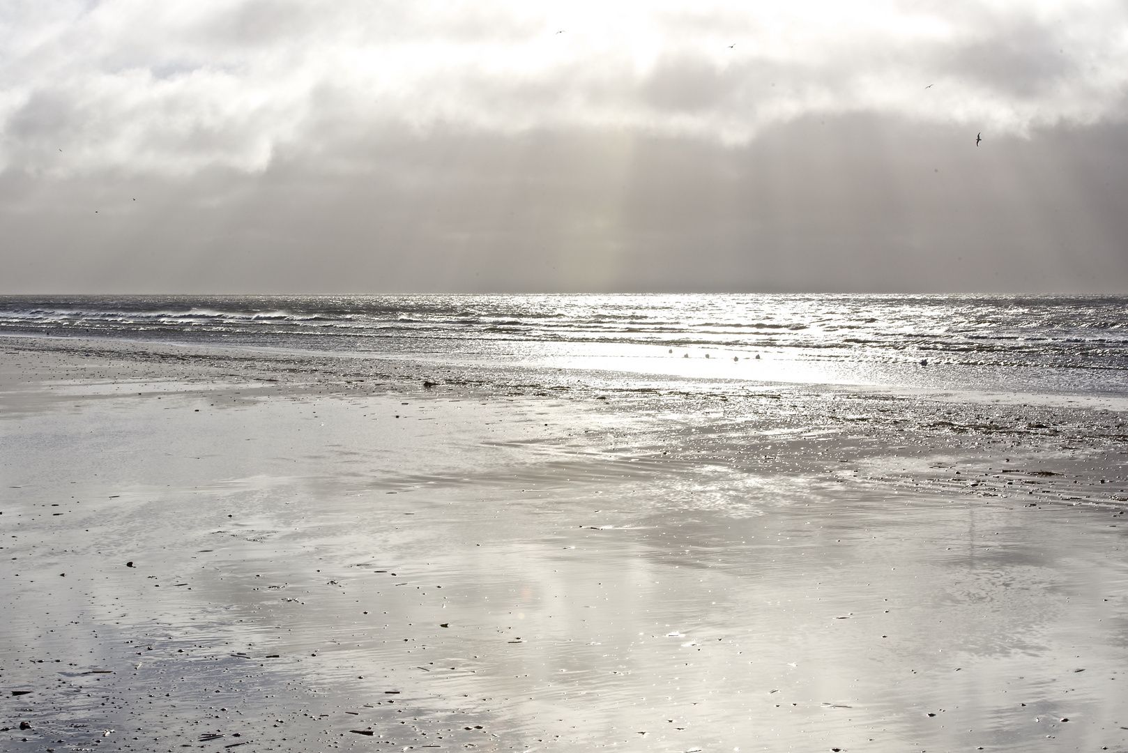 "Metallisches Licht" am Strand von Blavand