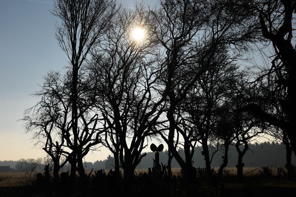Metallplastik von H.Hahn im Gegenlicht