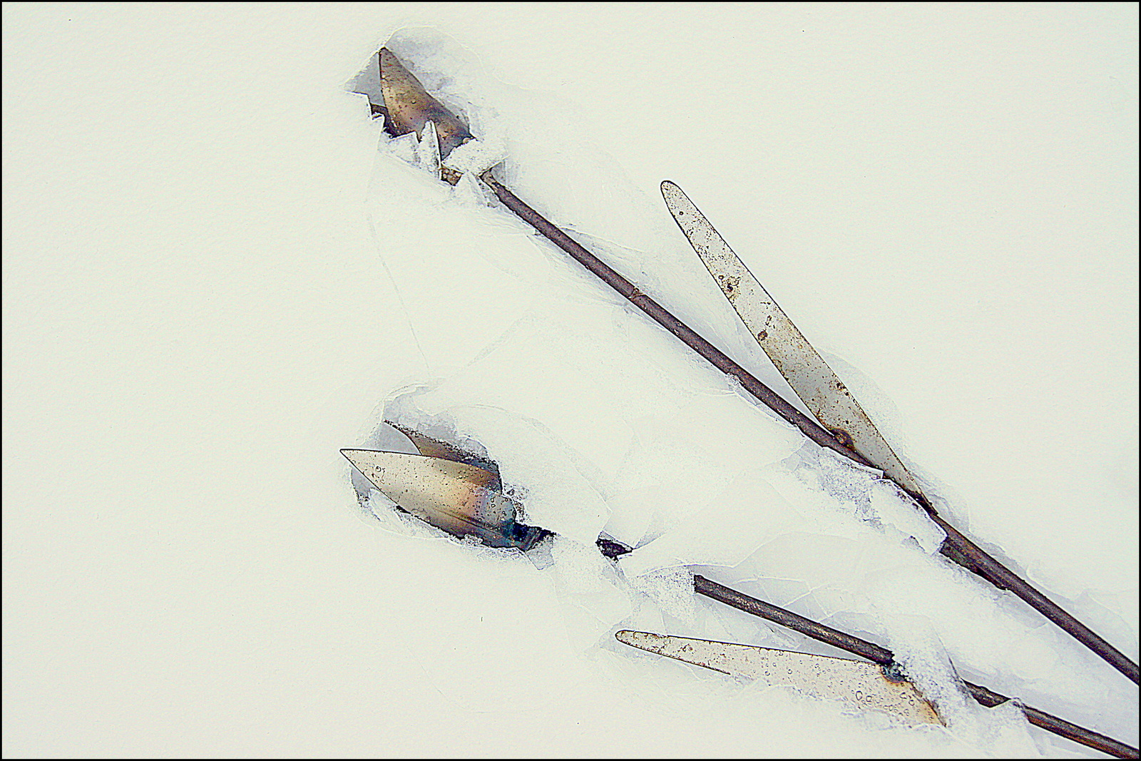 Metalltulpen im Schnee