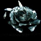 Metalrose II