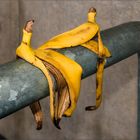 Metamorphose eines Bananen- Paares