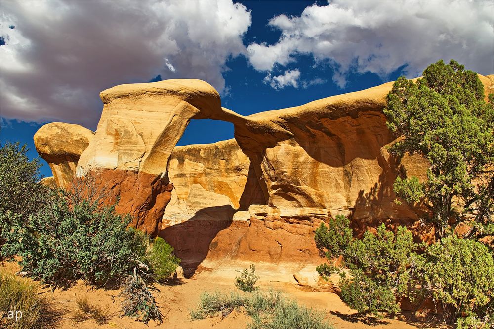 Metate Arch