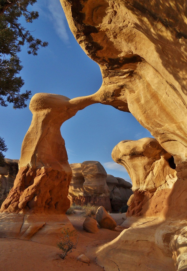 Metate Arch