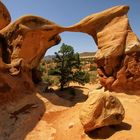 Metate Arch