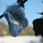 météorite de glace