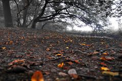 meteorologischer herbst