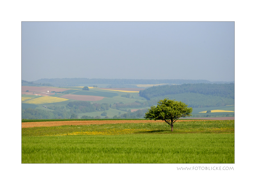 Meteorologischer Sommeranfang