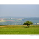 Meteorologischer Sommeranfang