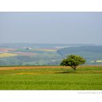 Meteorologischer Sommeranfang