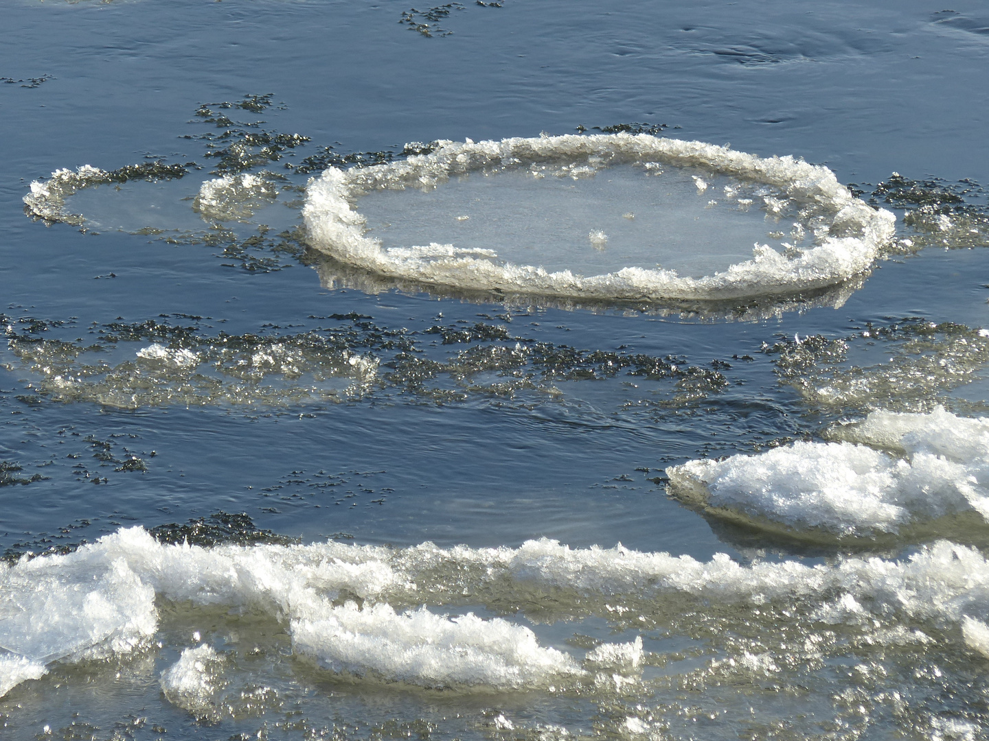 Metergroße Eisscholle auf der Weser