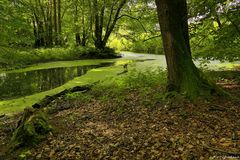 Methorstteich 1