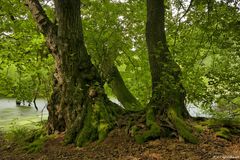 Methorstteich 2