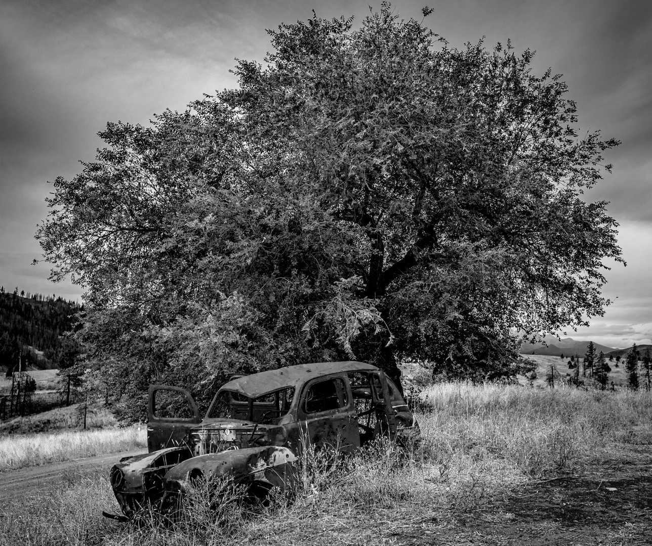 Methow Valley Old cars