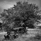 Methow Valley Old cars