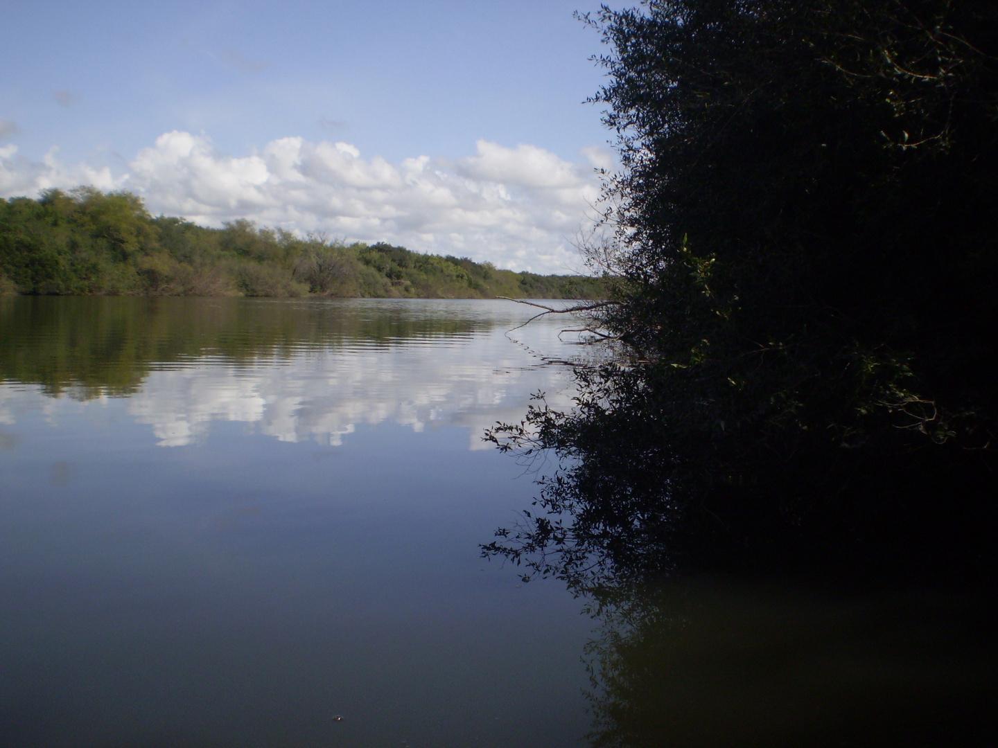 METIDO EN EL RIO, SOLO EL AGUA Y ESE CIELO