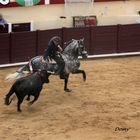 Metier ...Cheval Torero !!