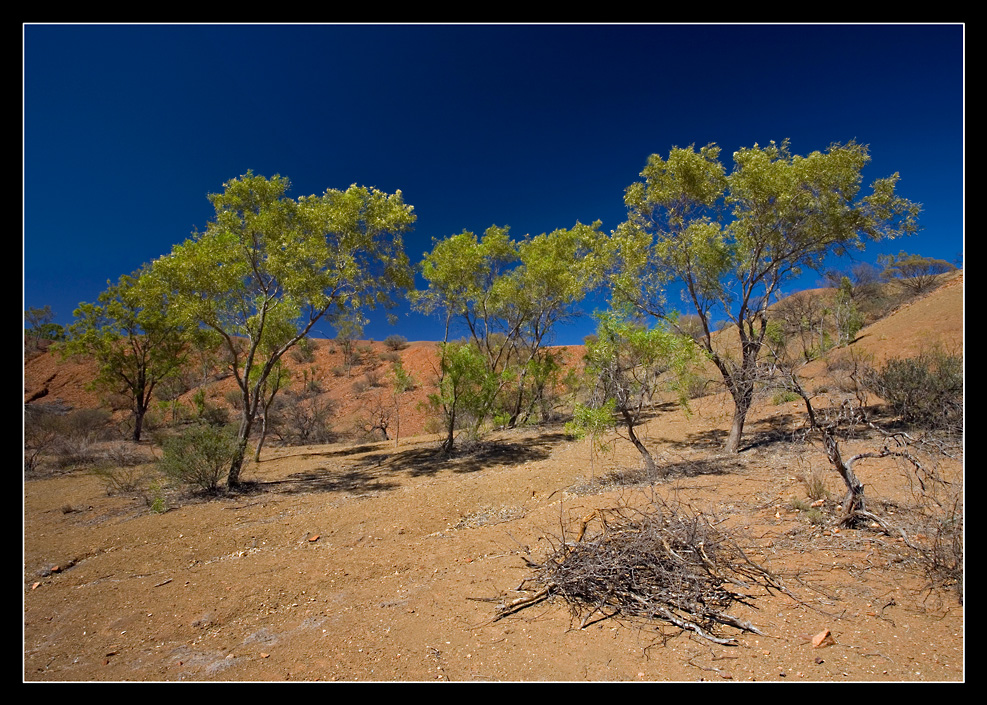 ~Metorite Crater NP~