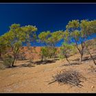 ~Metorite Crater NP~