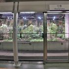 Métro tropical