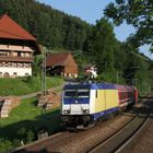 Metronom Farben im Schwarzwald